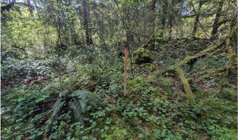 62955 E MOUNTAIN COUNTRY Ln, Brightwood, OR 97011