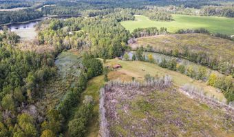 1420 Baltic Rd, Blackville, SC 29817