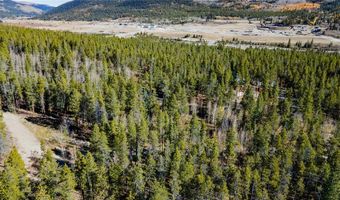 235 WILLOW Ln, Alma, CO 80440