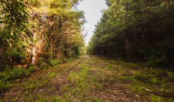235 Woodrow Martin Rd, Brandon, MS 39042
