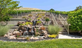 387 Golden Grass Dr, Alamo, CA 94507