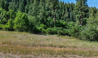 554 Pine Spring Dr, Bayfield, CO 81122