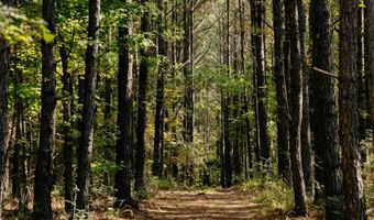 971 Somerset Rd SE, Bogue Chitto, MS 39629