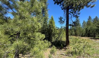 Saddle Rock Drive lot 19, Cascade, ID 83611