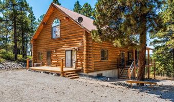 111 S Windy Ridge Rd, Bayfield, CO 81122