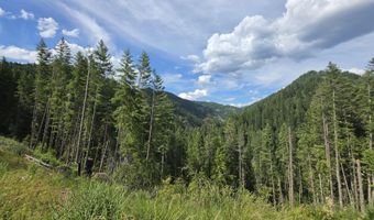 480 Dunn Peak Rd, Avery, ID 83802