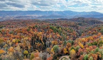135 49ac Webb Creek Rd, Andrews, NC 28901