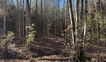 MOUNTAIN CUT RD lot D, Appomattox, VA 24522