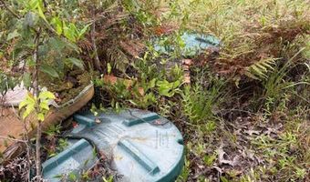 4539 NW Miller/White LN Rd, Altha, FL 32421