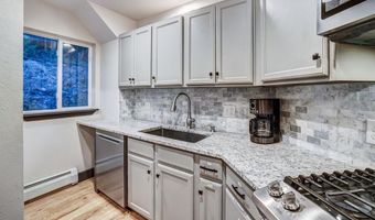 1095 Quartzville Rd, Alma, CO 80440