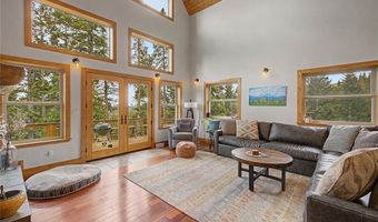 62 Lazy Rex Rd, Alma, CO 80440