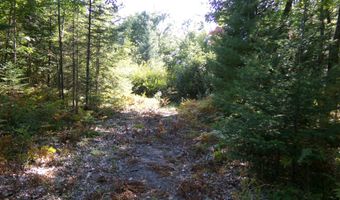 V/L 30AC Lake Winyah Road, Alpena, MI 49707