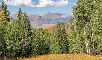794 Red Mountain Ranch Lower Loop, Crested Butte, CO 81224