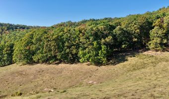 Bennett Mountain Road, Alderson, WV 24910