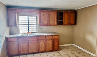 1425 CAMINO REAL VIEJO, Alamo, TX 78516