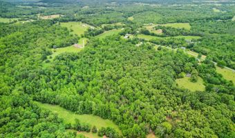 687 Gidsville Rd, Amherst, VA 24521
