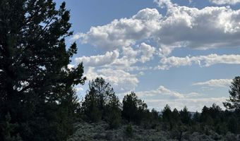 HWY 140 300, Beatty, OR 97621