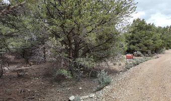 Unk Sandia Canyon Rd, Arroyo Hondo, NM 87513