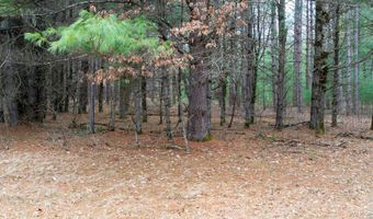 Dover Drive lot 3 +/- 87 Ac, Adams, WI 53910