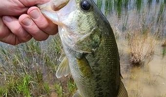 3815 W Ferguson Rd, Beggs, OK 74421