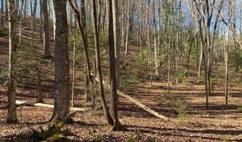 Collett Wood Cove lot 4-18, Andrews, NC 28901