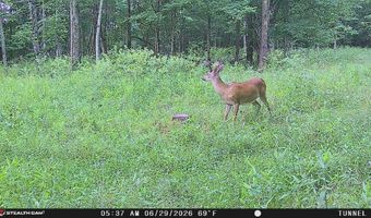 566 A Tunnel Ridge Rd, Argillite, KY 41121