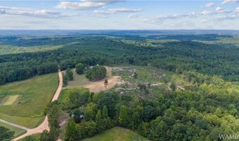 888 New Liberty Rd, Bankston, AL 35542