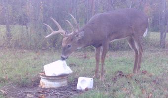 767 County Road 500, Ashland, OH 44805