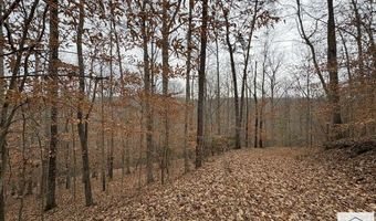Pine Valley Dr, Bassett, VA 24055