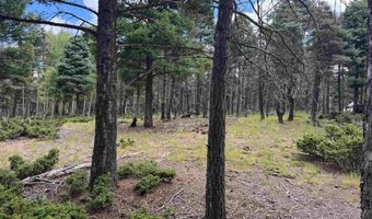 S Vail Overlook lot 310, Angel Fire, NM 87710