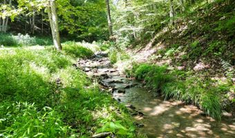 1083 Right Fork Crummies Crk, Arnoldsburg, WV 25234