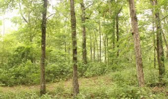 5451 Wire Rd, Branchville, SC 29432
