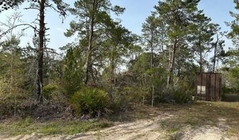 11850 NE 108 St, Archer, FL 32608