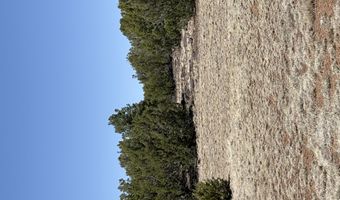 82 N 8368, Concho, AZ 85924