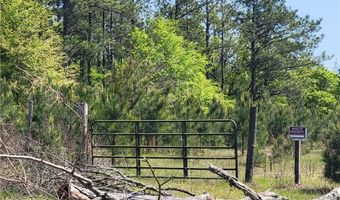 601 HERBERT BROWN Rd, Auburn, AL 36830
