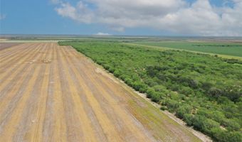 CR 331, Alice, TX 78332
