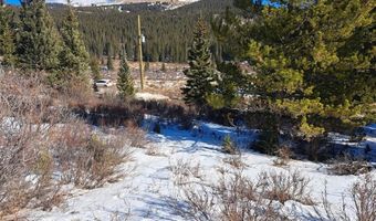 3553 RIVER Dr, Alma, CO 80420