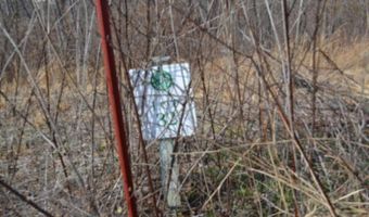 4 13ac Hush Hollow Lane Lot 31-33, Baxter, TN 38544