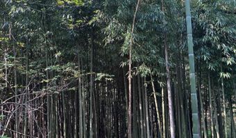 8380 Hwy 207, Anderson, AL 35610