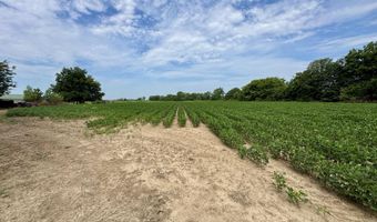 1407 Shaw Skene Rd, Boyle, MS 38730