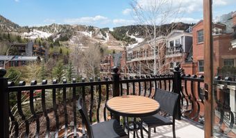 415 E Dean St. # 32 Wk 9, Aspen, CO 81611