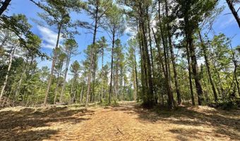 1 Champion Hill Rd, Bolton, MS 39041