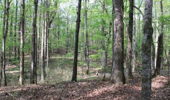 Ruffner Road 00, Barnesville, GA 30204