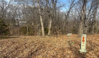 Lot 3109 Lake Viking Terrace, Altamont, MO 64620