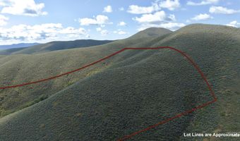 Lees Gulch Rd, Bellevue, ID 83313