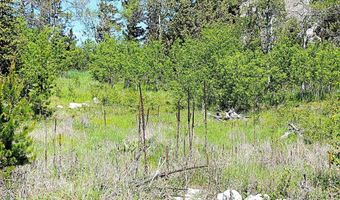 261 Kanduch Rd, Anaconda, MT 59711