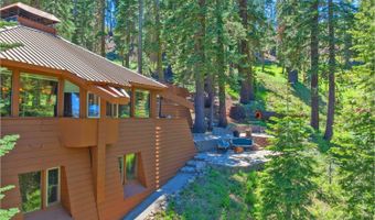 309 Snowshoe Rd, Bear Valley, CA 95223