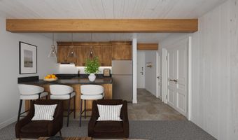 131 E Durant Ave 202, Aspen, CO 81611