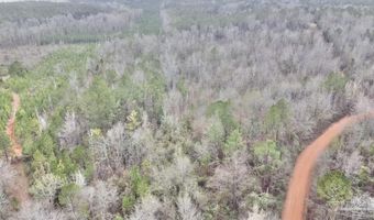 21000 Block Hwy 21, Beatrice, AL 36425