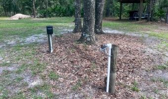 4700 55th Ave, Bell, FL 32619